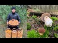 ГРИБЫ В НОЯБРЕ ?! Я ЕЩЁ ТАК НЕ СОБИРАЛ! БЕЛАРУСЬ!!! MUSHROOMS IN NOVEMBER? REALLY! BELARUS