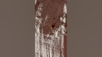 Did that bih just teleport?!?!?