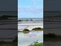 Pink Salt Flats 🩷#DiscoverPuertoRico #WarmWishesFrom🇵🇷 #travelvlog #saltflats #travel #puertorico
