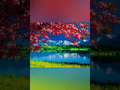 من الفقه في الدين أن تدرك أن إيمانك يزيد أو ينقص الشيخ محمد أمان الجامي رحمه الله