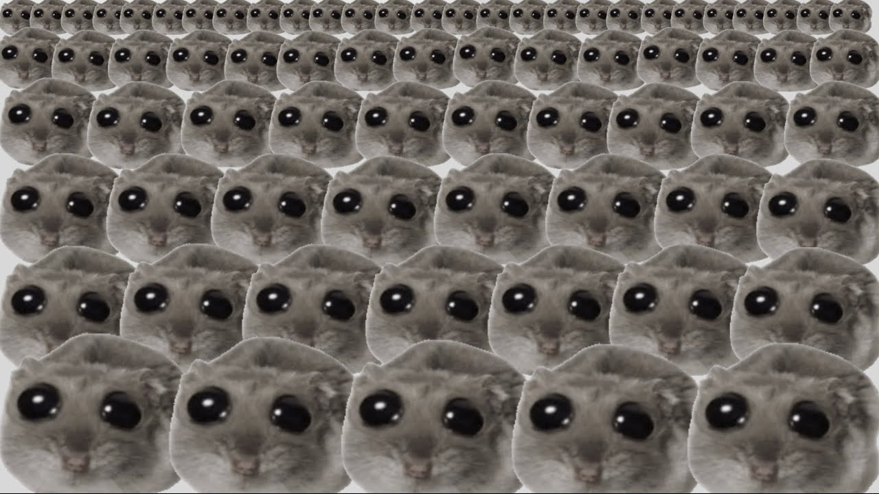 Sad hamster x1000000
