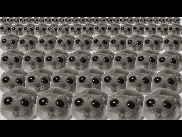 Sad hamster x1000000