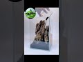 aquascape minimalis 09012022