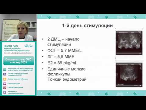 Видео: Суперовуляци хийх хуанли хэрхэн үүсгэх