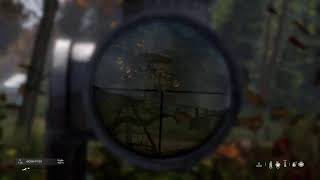 DayZ rookie trying to survive on official servers 11