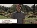 Wayne buhler pesticide education specialist nc state extension