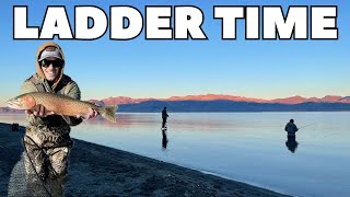 Ladder Time! Pyramid Lake Fly Fishing - Episode 1
