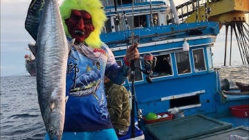 Tập 2: cuộc chiến cá bè quỵt , Lễ halloween jigging cá thu