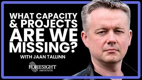 AI Safety Coordination : What Capacity & Projects are we Missing? | Jaan Tallinn