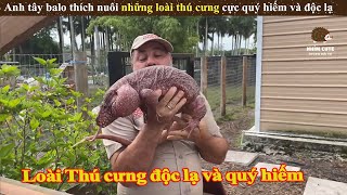 Anh tây balo thích nuôi những loài thú cưng cực quý hiếm và độc lạ || Review Giải Trí Đời Sống