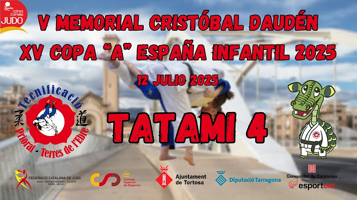 T4 XV Copa de España Judo Infantil - V Memorial Cristóbal Daudén