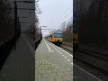 Ddz in Zeeland