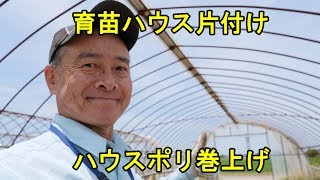 初のハウスポリ巻上げによる越冬・水風船になりませんよ～に・2019