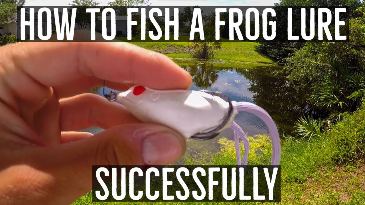 How to Fish a FROG Lure Successfully! YouTube