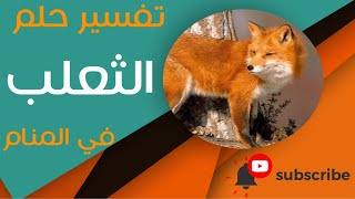 تفسير حلم الثعلب - ما معنى رؤية الثعلب في الحلم؟