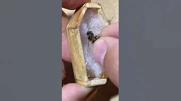 Así es una tumba para abejas.