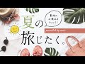 夏の旅支度