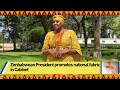 Zimbabwe’s cabinet embraces national fabric in culture month initiative