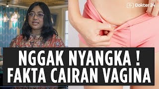 Dokter 24 - Nggak Nyangka ! Fakta Cairan Vagina !