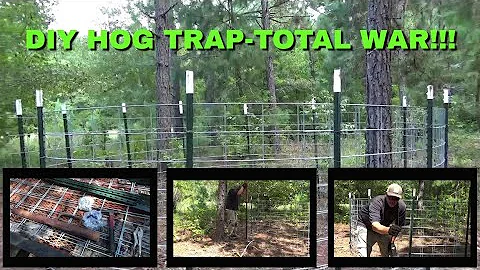 DIY HOG TRAP- TOTAL WAR!!!