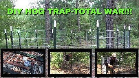 DIY HOG TRAP- TOTAL WAR!!!