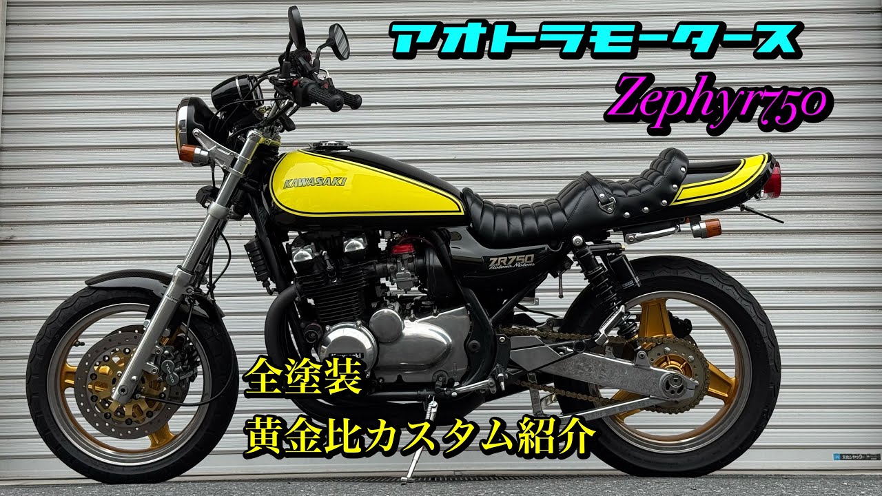Zephyr 750 high-quality full paint job, custom build aiming for