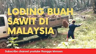 LODING BUAH SAWIT||di malaysia@RANGGA_MENSON