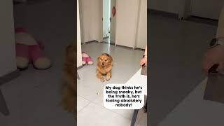 He Genuinely Thinks We Cant See Him