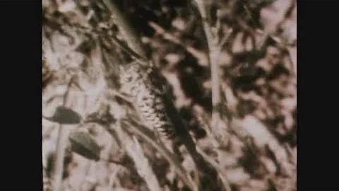 News Item (ce8948ea-2cc0-3763-3852-327aa5579b75)