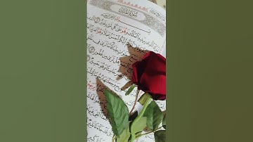 سورة الملك بصوت الشيخ ماهر المعيقلي 🥺🧡❤️ #اكسبلور #اسمعنا #لايك #أطمئن #صبرو 🧡❤️❤️❤️