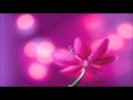 ★BoA★Candle Light★Cover by 1065★