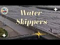 Water Skippers 05/24/2024