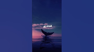 قرآن كريم 🤍✨️ #quran #اكسبلور #tiktok #دويتو #youtube #راحة_نفسية #قرآن #قران_كريم #حالات_واتس #لايك