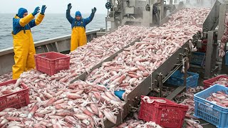 How American crews harvest 200 tons of giant squid daily with ship-based processing machines