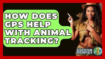 How Does GPS Help With Animal Tracking? - Ecosystem Essentials