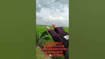 Bán 22 công đất xã Tuyên bình huyện Vĩnh Hưng tỉnh Long An