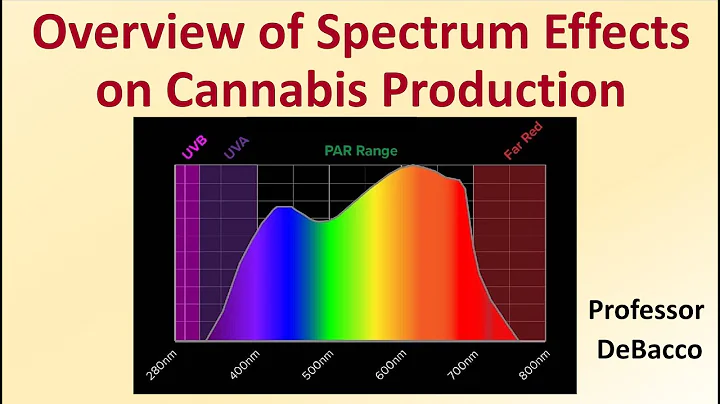 Overview of Spectrum Effects on Cannabis Production
