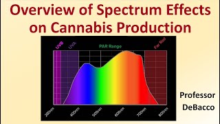 Overview of Spectrum Effects on Cannabis Production