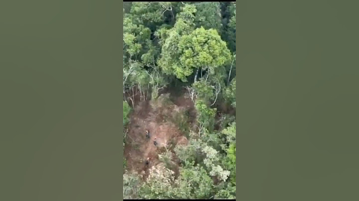Encontrado Helicóptero desaparecido em SP!! #helicoptero #saopaulo #aviação #desaparecidos