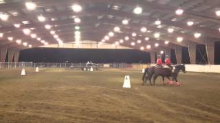 Bonanza 16 & 15 OHSET working pairs 2016