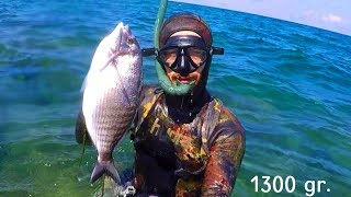 Ahmet Maden Zipkinla Balik Avlari Spearfishing Karagöz