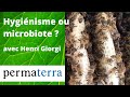 Hygiénisme ou microbiote naturel dans la ruche ? Avec Henri Giorgi