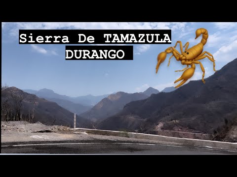 Sierra De Tamazula Durango   4K