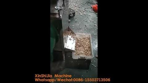 garlic bulb separator