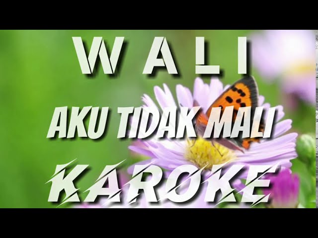 KAROKE | WALI - AKU TIDAK MALU class=