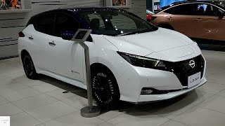 2024 Nissan Leaf EV Electric / In-Depth Walkaround Exterior & Interior