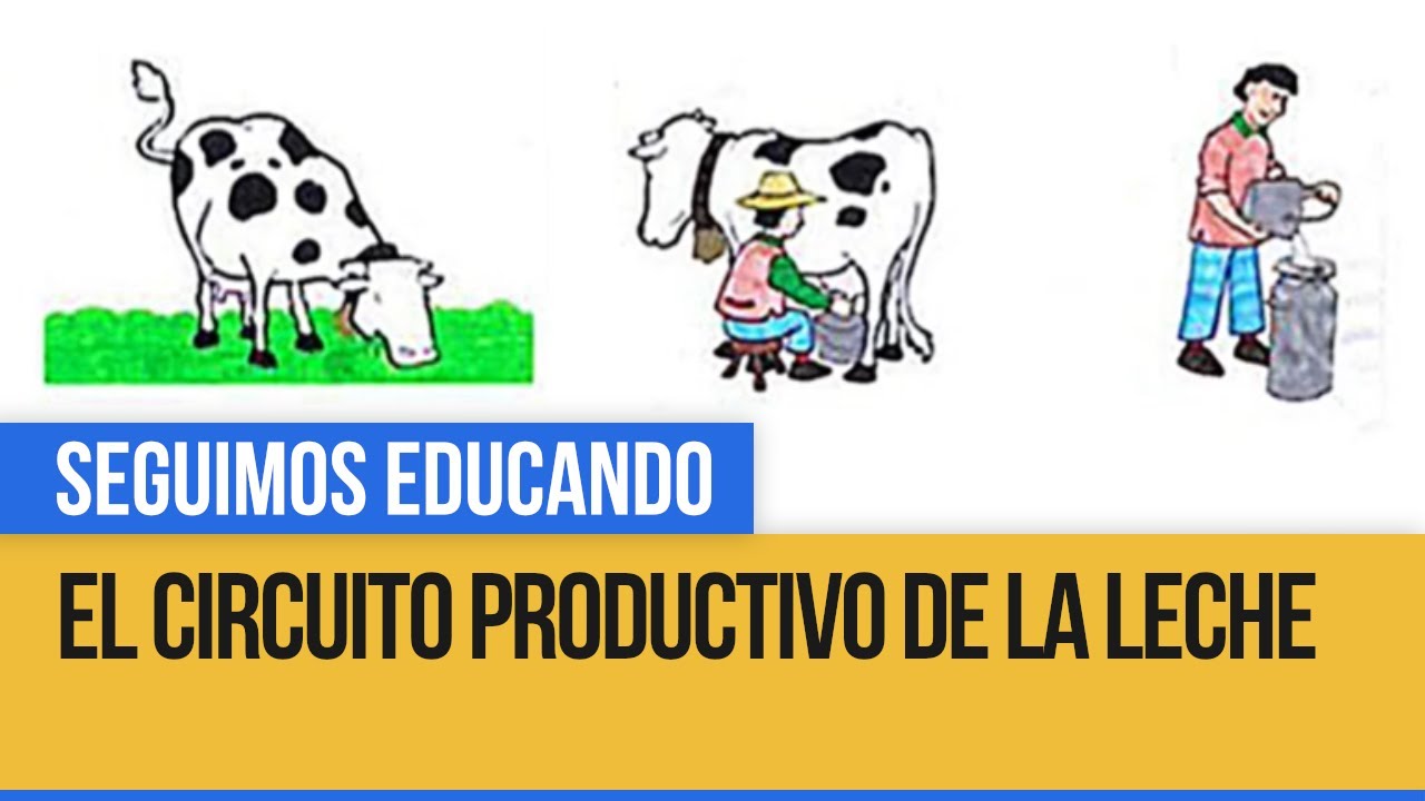 El circuito productivo de la leche - Seguimos Educando - YouTube