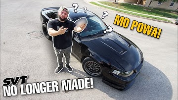Driving 3 Hours Just For This MOD! | 2003 Terminator Cobra!