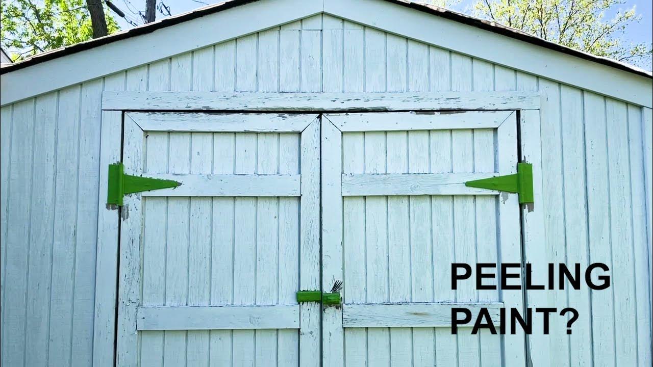 Peeling Paint? Fix It With Zinsser Peel Stop Triple Thick Primer YouTube