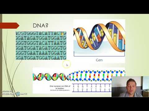 Video: Induceerbaar Genexpressiesysteem Door 3-hydroxypropionzuur